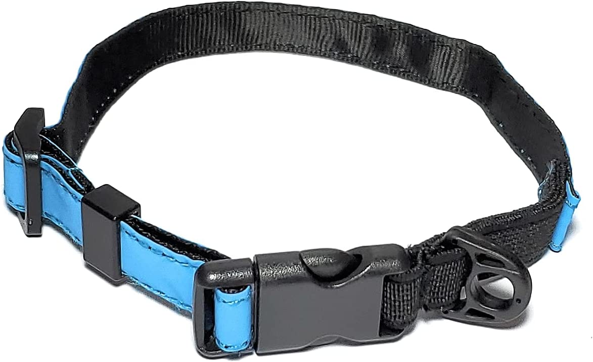 Safety Collar