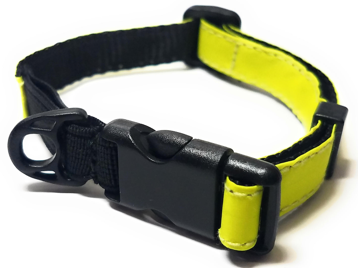 Safety Collar