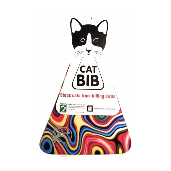 Regular CatBib