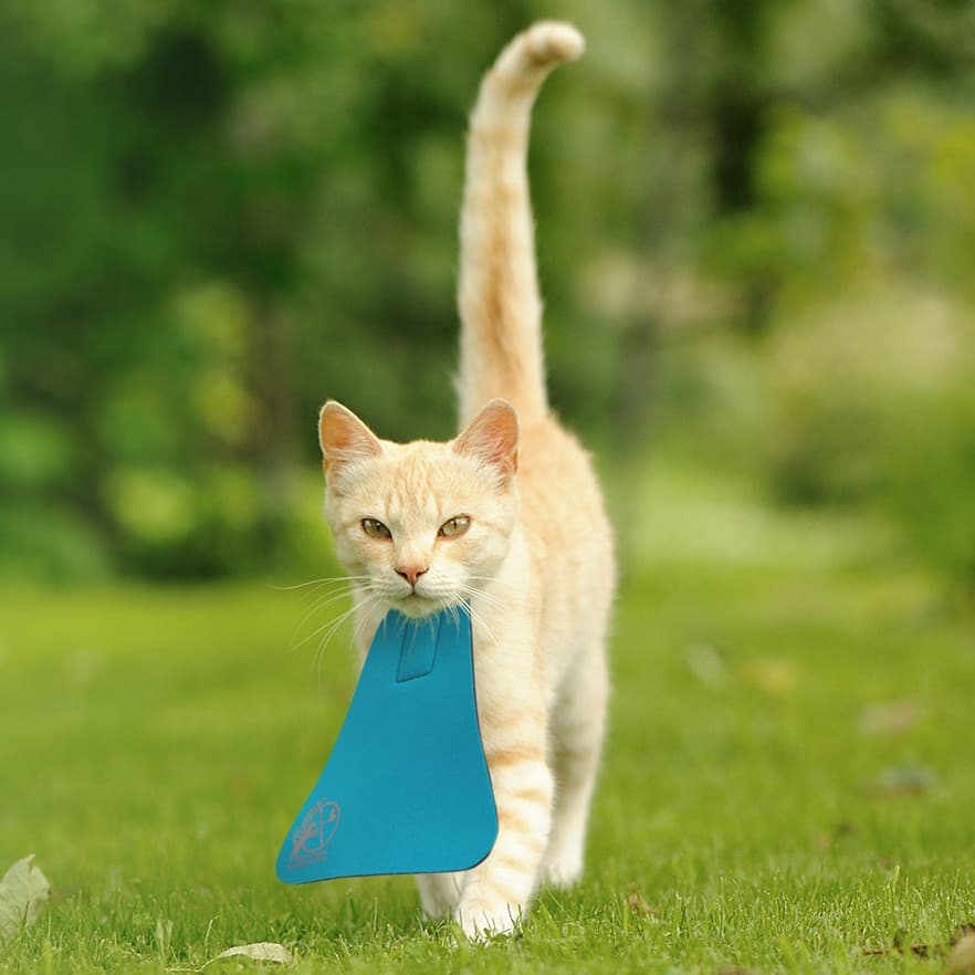 Cat wearing CatBib bird deterrent outdoors — university-tested to stop 81% of cats catching birds